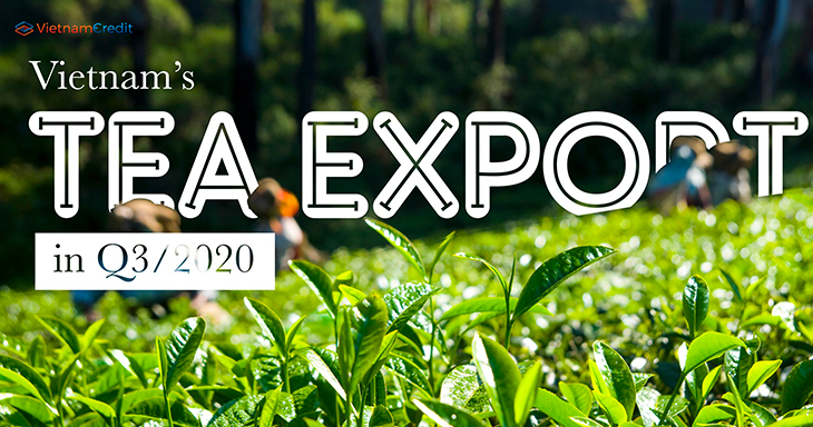 Vietnam’s tea exports in Q3/2020